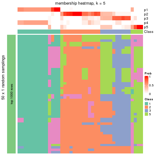 plot of chunk tab-node-051-membership-heatmap-4