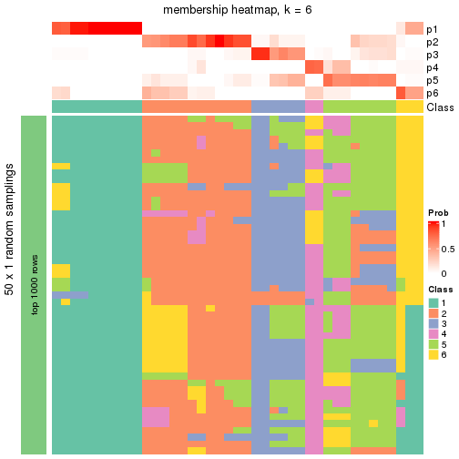 plot of chunk tab-node-051-membership-heatmap-5