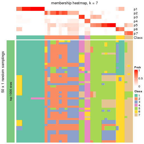 plot of chunk tab-node-051-membership-heatmap-6