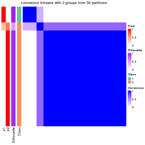 plot of chunk tab-node-0511-consensus-heatmap-1