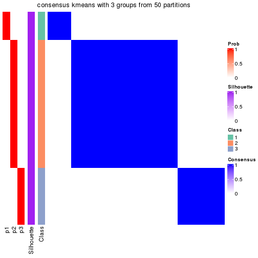 plot of chunk tab-node-0511-consensus-heatmap-2