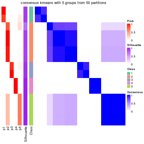 plot of chunk tab-node-0511-consensus-heatmap-4