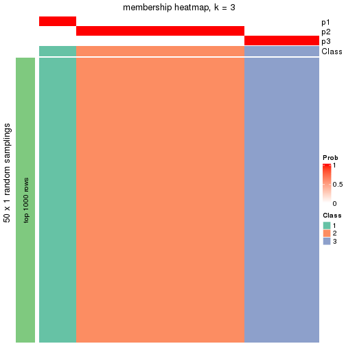 plot of chunk tab-node-0511-membership-heatmap-2