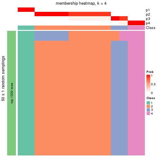 plot of chunk tab-node-0511-membership-heatmap-3