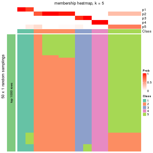 plot of chunk tab-node-0511-membership-heatmap-4