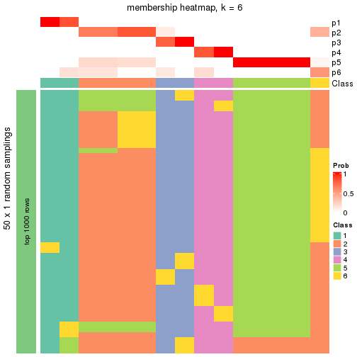 plot of chunk tab-node-0511-membership-heatmap-5