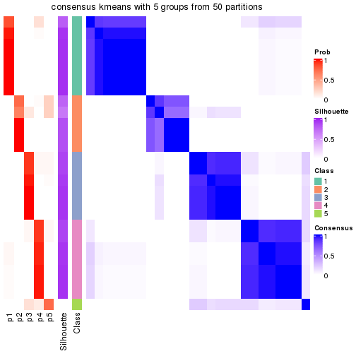 plot of chunk tab-node-0512-consensus-heatmap-4