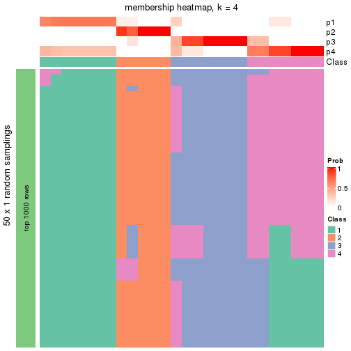 plot of chunk tab-node-0512-membership-heatmap-3