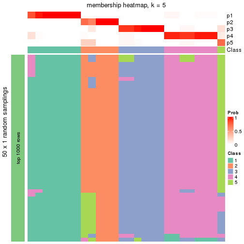 plot of chunk tab-node-0512-membership-heatmap-4