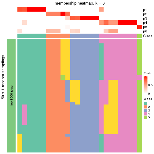 plot of chunk tab-node-0512-membership-heatmap-5