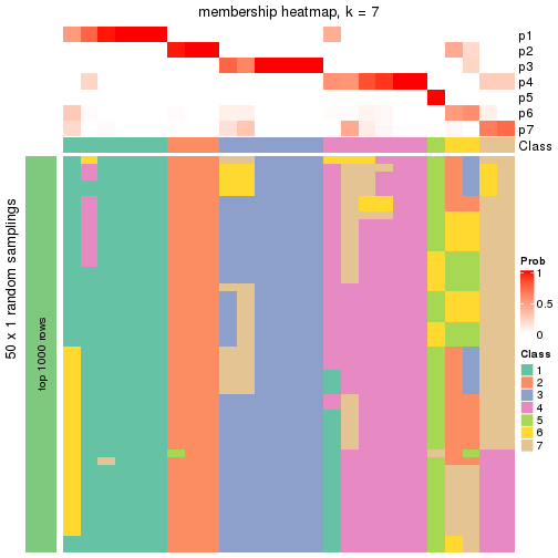 plot of chunk tab-node-0512-membership-heatmap-6