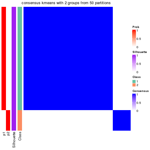 plot of chunk tab-node-05121-consensus-heatmap-1