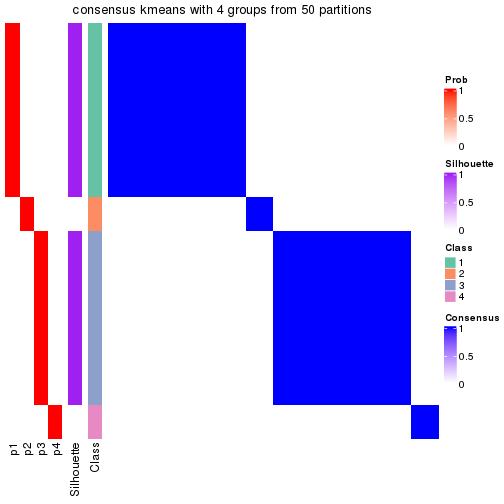 plot of chunk tab-node-05121-consensus-heatmap-3