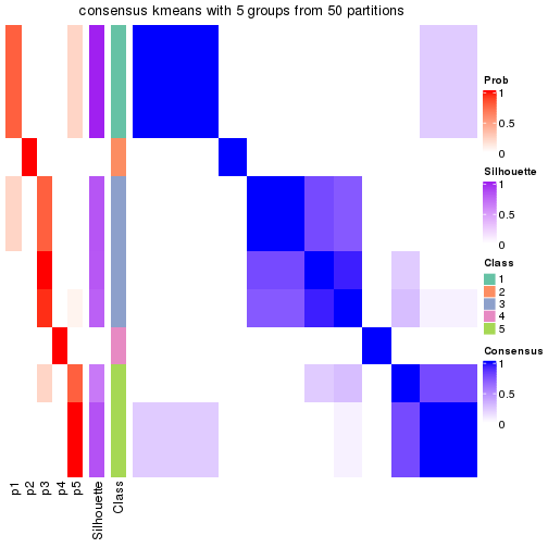 plot of chunk tab-node-05121-consensus-heatmap-4