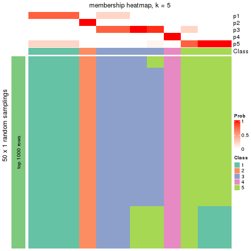 plot of chunk tab-node-05121-membership-heatmap-4