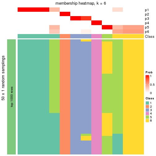 plot of chunk tab-node-05121-membership-heatmap-5