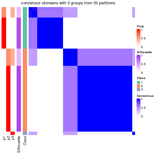 plot of chunk tab-node-052-consensus-heatmap-2