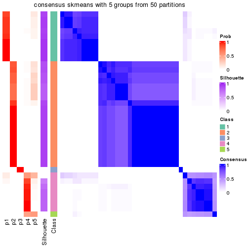 plot of chunk tab-node-052-consensus-heatmap-4