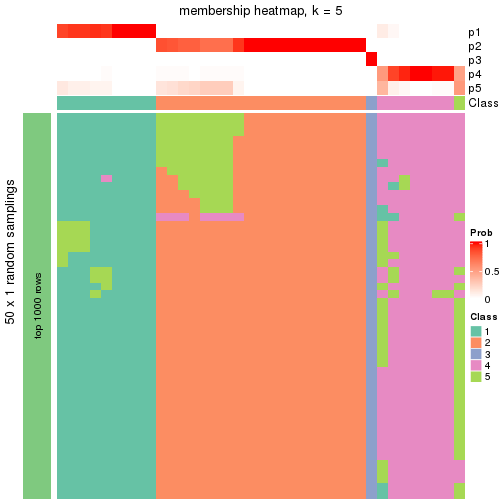 plot of chunk tab-node-052-membership-heatmap-4