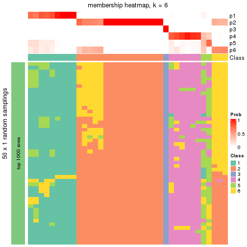 plot of chunk tab-node-052-membership-heatmap-5