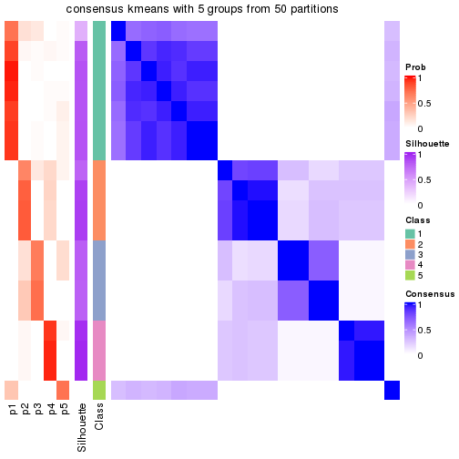 plot of chunk tab-node-0522-consensus-heatmap-4