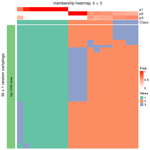 plot of chunk tab-node-0522-membership-heatmap-2