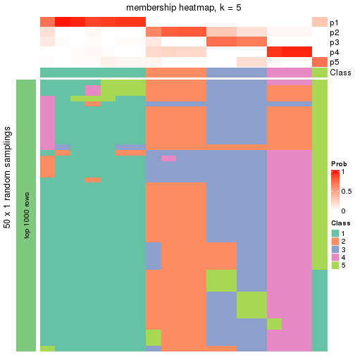 plot of chunk tab-node-0522-membership-heatmap-4