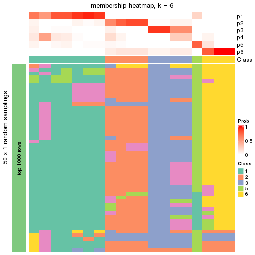 plot of chunk tab-node-0522-membership-heatmap-5