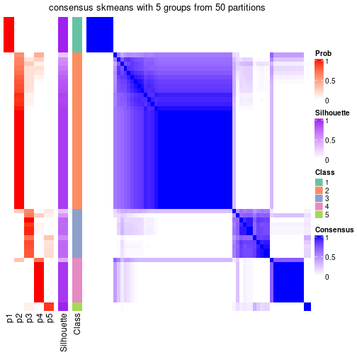 plot of chunk tab-node-0-consensus-heatmap-4