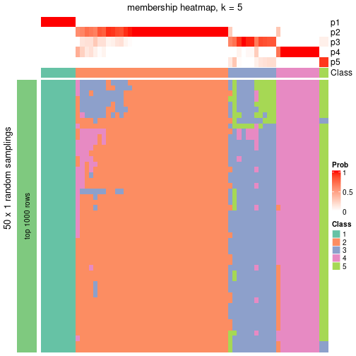 plot of chunk tab-node-0-membership-heatmap-4