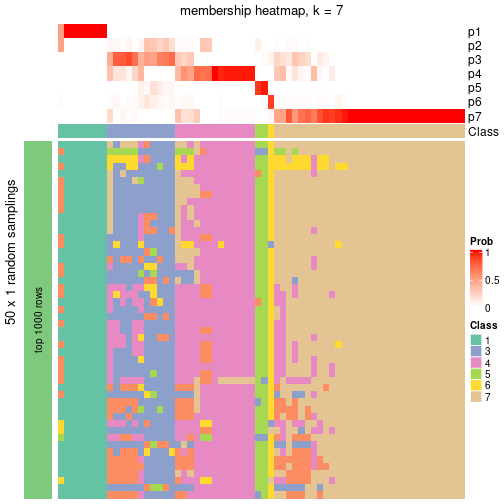 plot of chunk tab-node-0-membership-heatmap-6