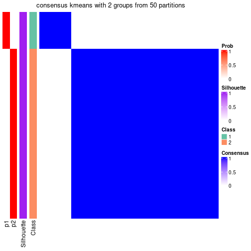 plot of chunk tab-node-02-consensus-heatmap-1