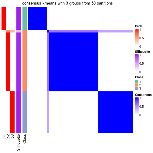 plot of chunk tab-node-02-consensus-heatmap-2