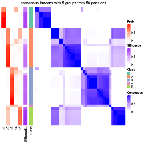 plot of chunk tab-node-02-consensus-heatmap-4