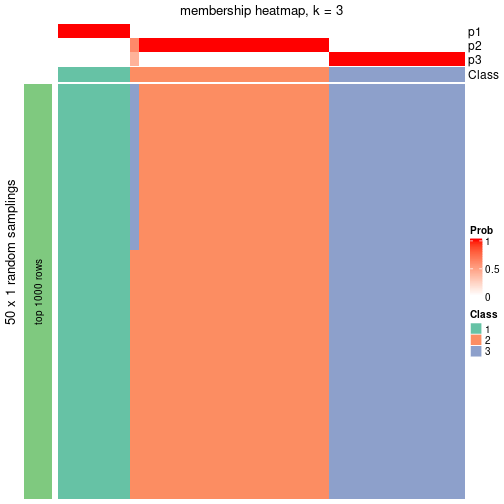 plot of chunk tab-node-02-membership-heatmap-2