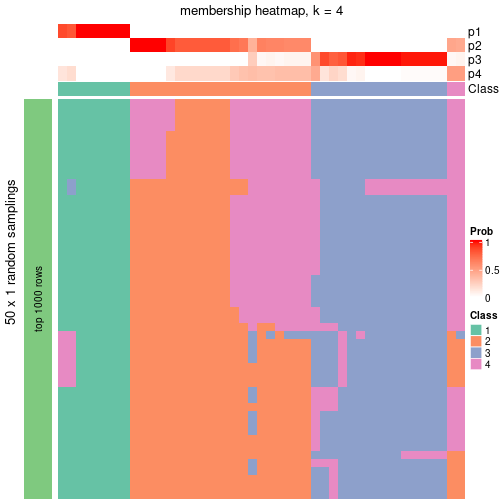 plot of chunk tab-node-02-membership-heatmap-3