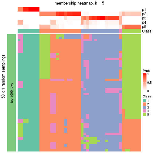 plot of chunk tab-node-02-membership-heatmap-4