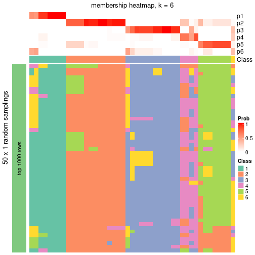 plot of chunk tab-node-02-membership-heatmap-5