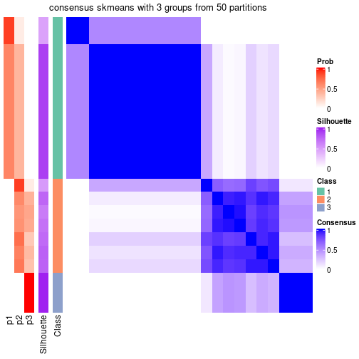 plot of chunk tab-node-022-consensus-heatmap-2