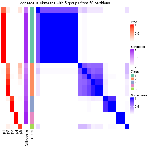 plot of chunk tab-node-022-consensus-heatmap-4