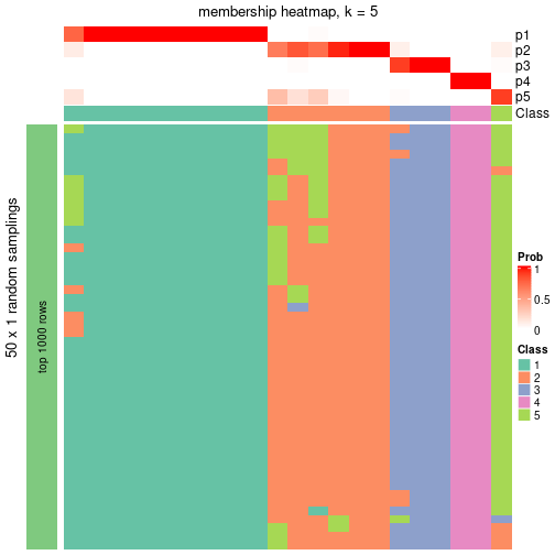 plot of chunk tab-node-022-membership-heatmap-4