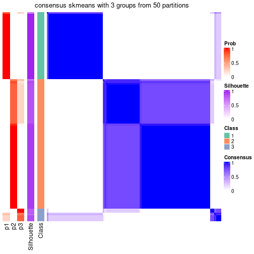 plot of chunk tab-node-0-consensus-heatmap-2