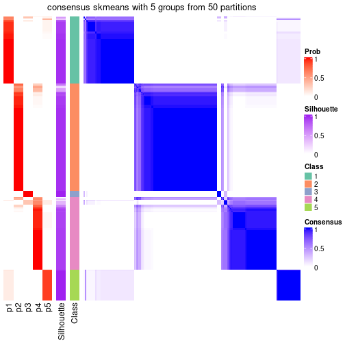 plot of chunk tab-node-0-consensus-heatmap-4