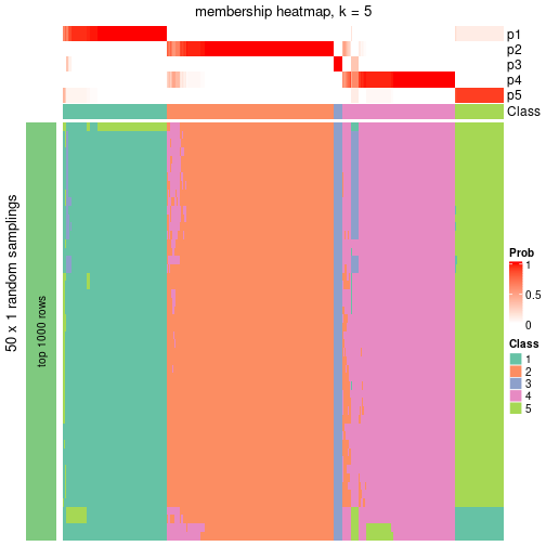 plot of chunk tab-node-0-membership-heatmap-4