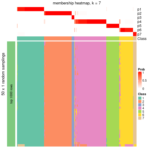 plot of chunk tab-node-0-membership-heatmap-6