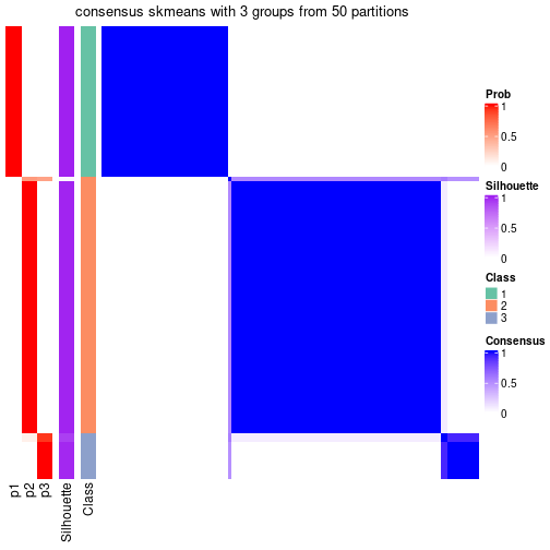 plot of chunk tab-node-01-consensus-heatmap-2