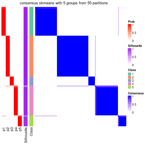 plot of chunk tab-node-01-consensus-heatmap-4