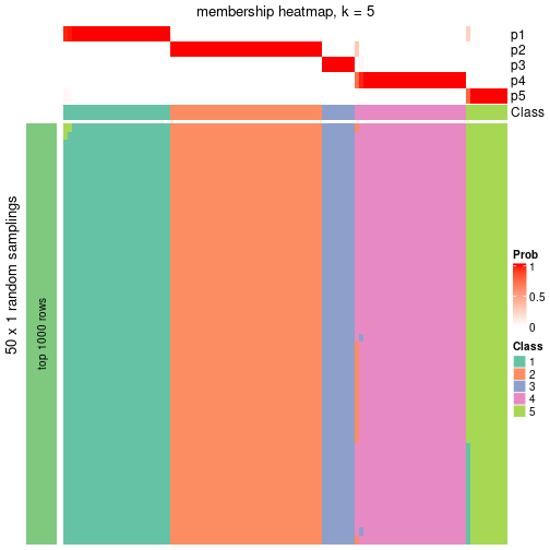 plot of chunk tab-node-01-membership-heatmap-4