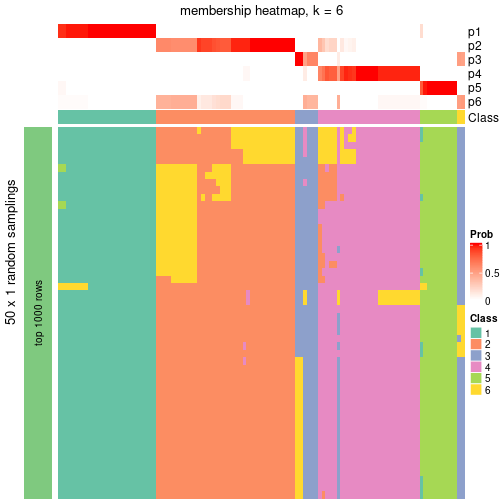 plot of chunk tab-node-01-membership-heatmap-5