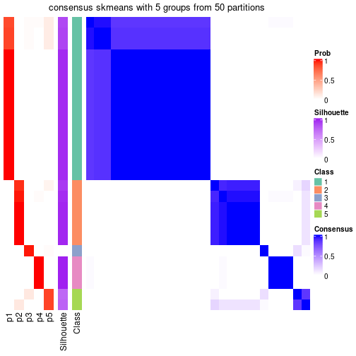 plot of chunk tab-node-014-consensus-heatmap-4